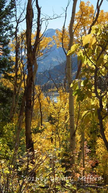 Silver Lake Reservoir